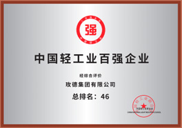 中國輕工業(yè)百強企業(yè)